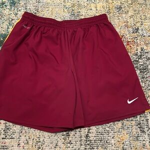 Nike Dri-Fit Lined Shorts